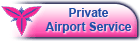 Private Airport Service