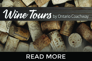 Wine Tours